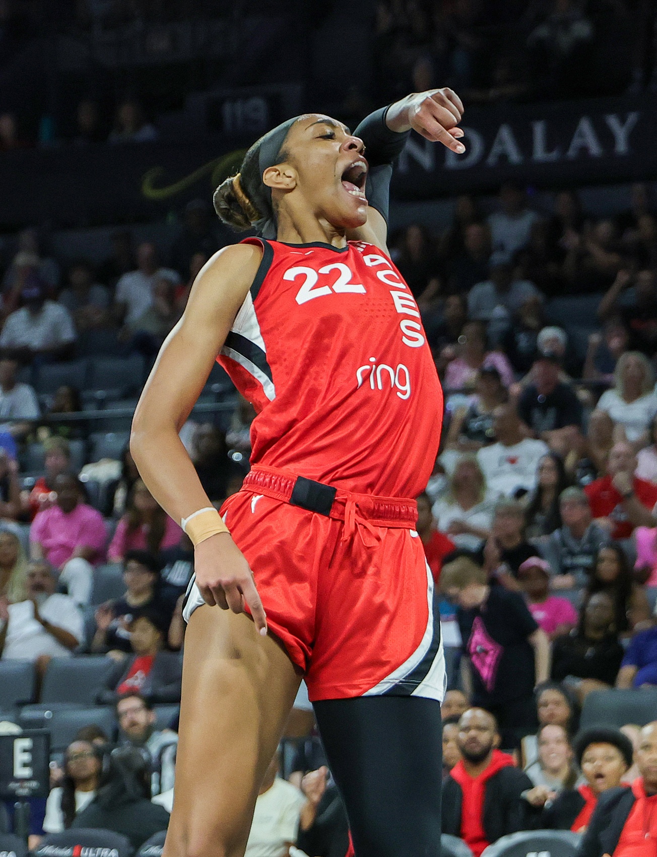 星空体育官网-阿贾-威尔逊22次20+15篮板创历史纪录 超越名宿查尔斯登顶榜首